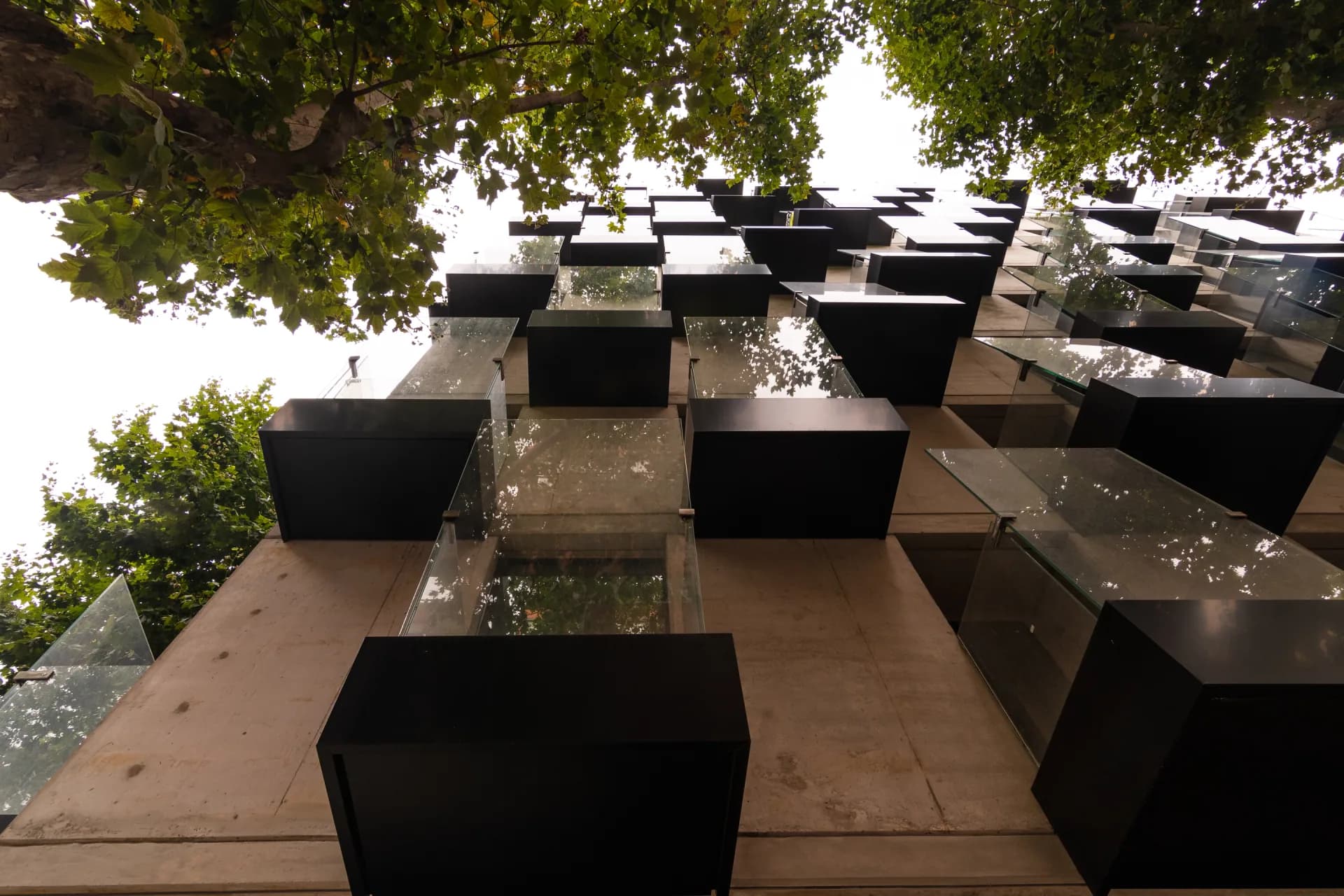 Alma Corso - image 2