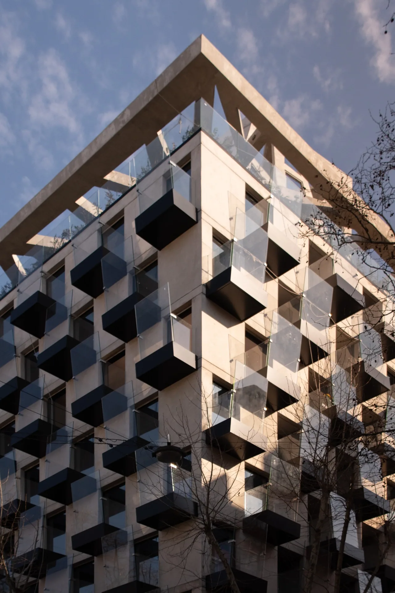 Alma Corso - image 3