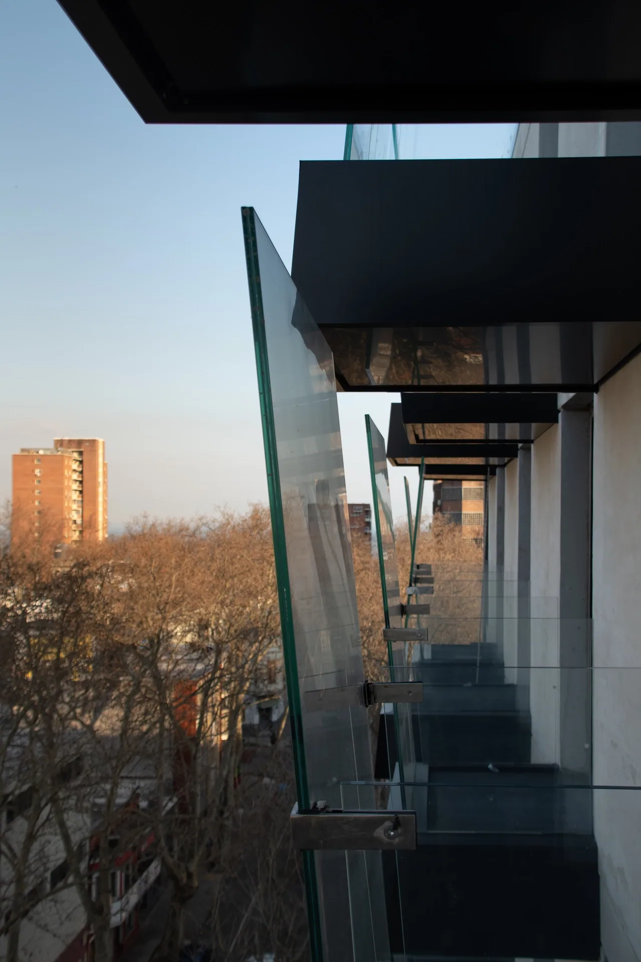 Alma Corso - image 4