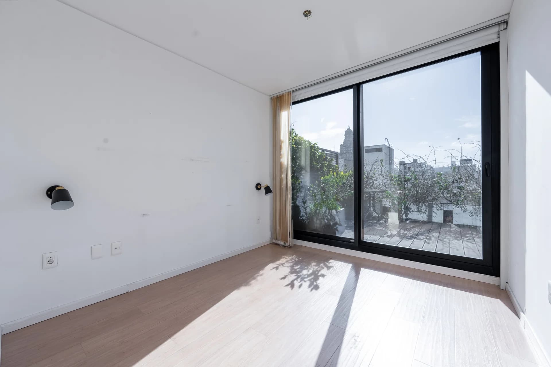 Alma Corso - imagen 16