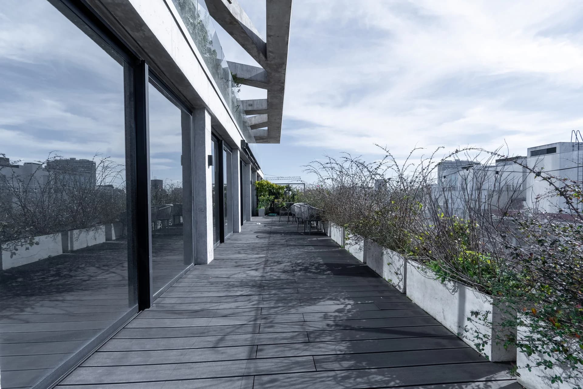 Alma Corso - imagen 20