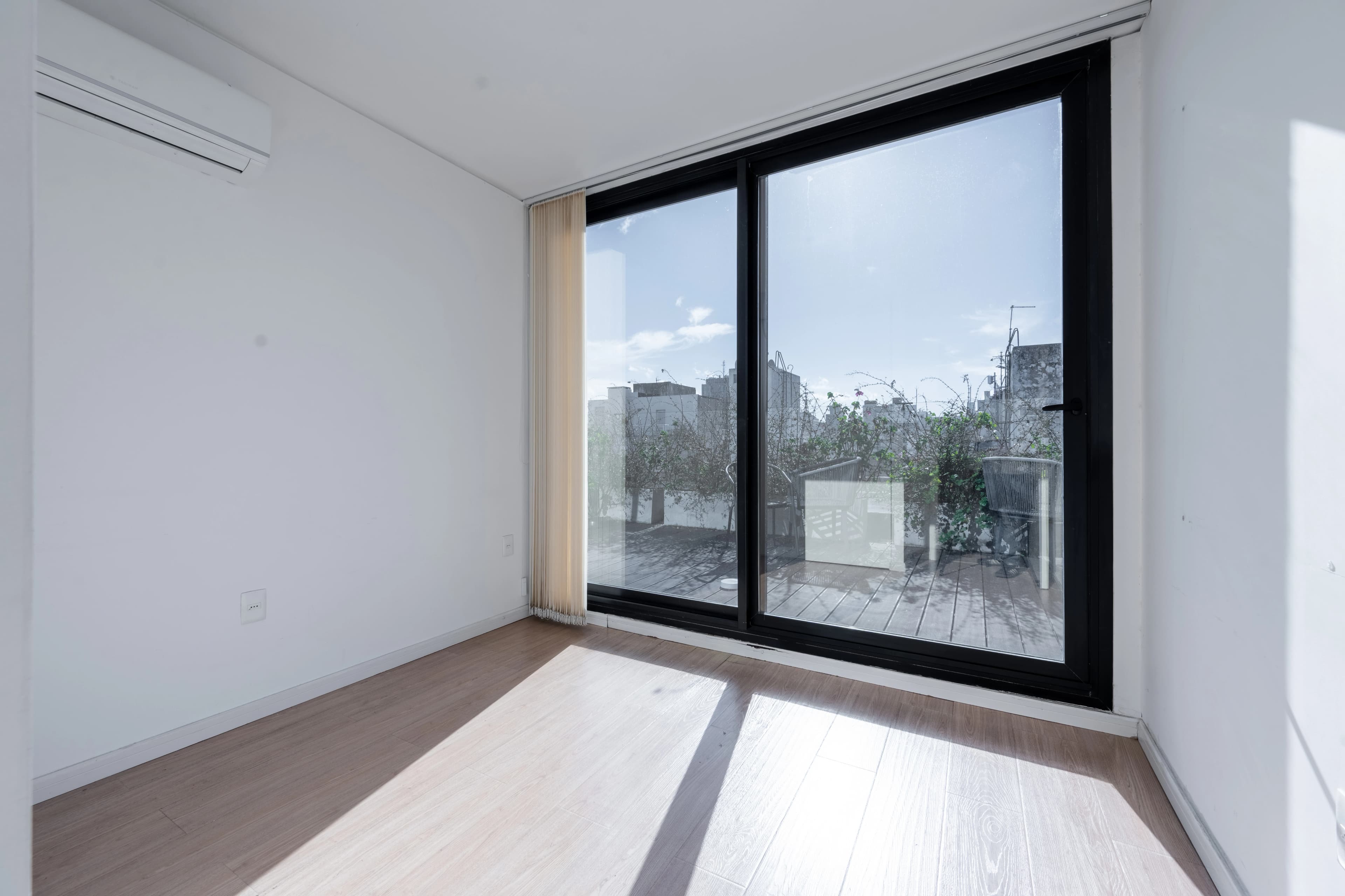 Alma Corso - imagen 11