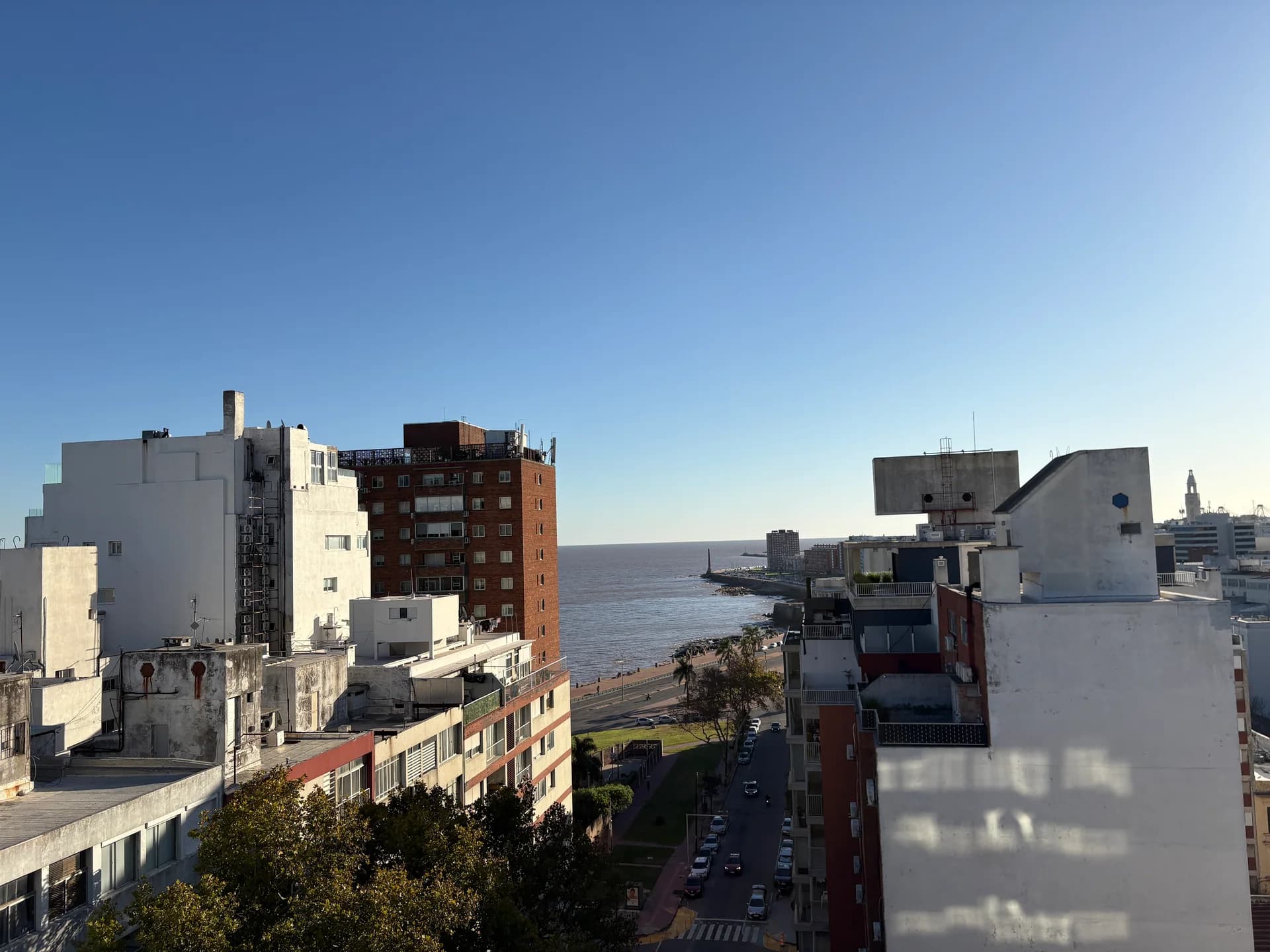 Alma Sur - imagen 28