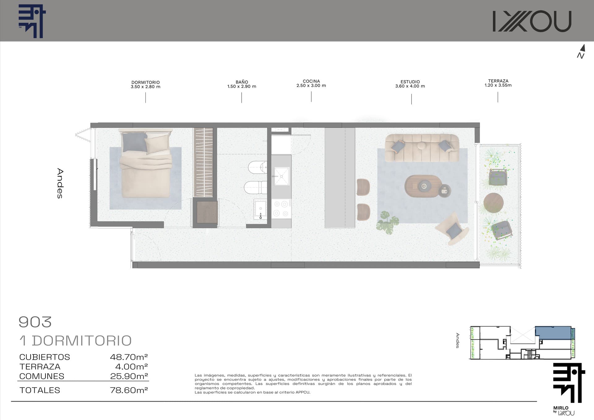 Mirlo - image 1