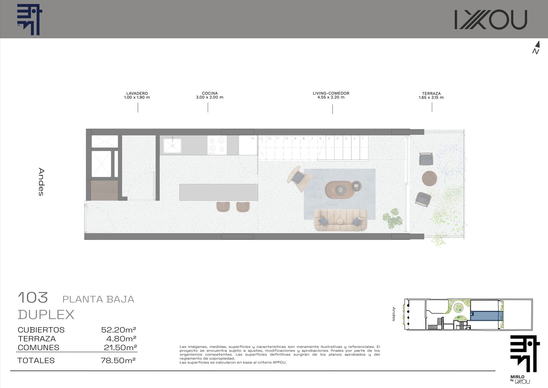 Mirlo - image 1