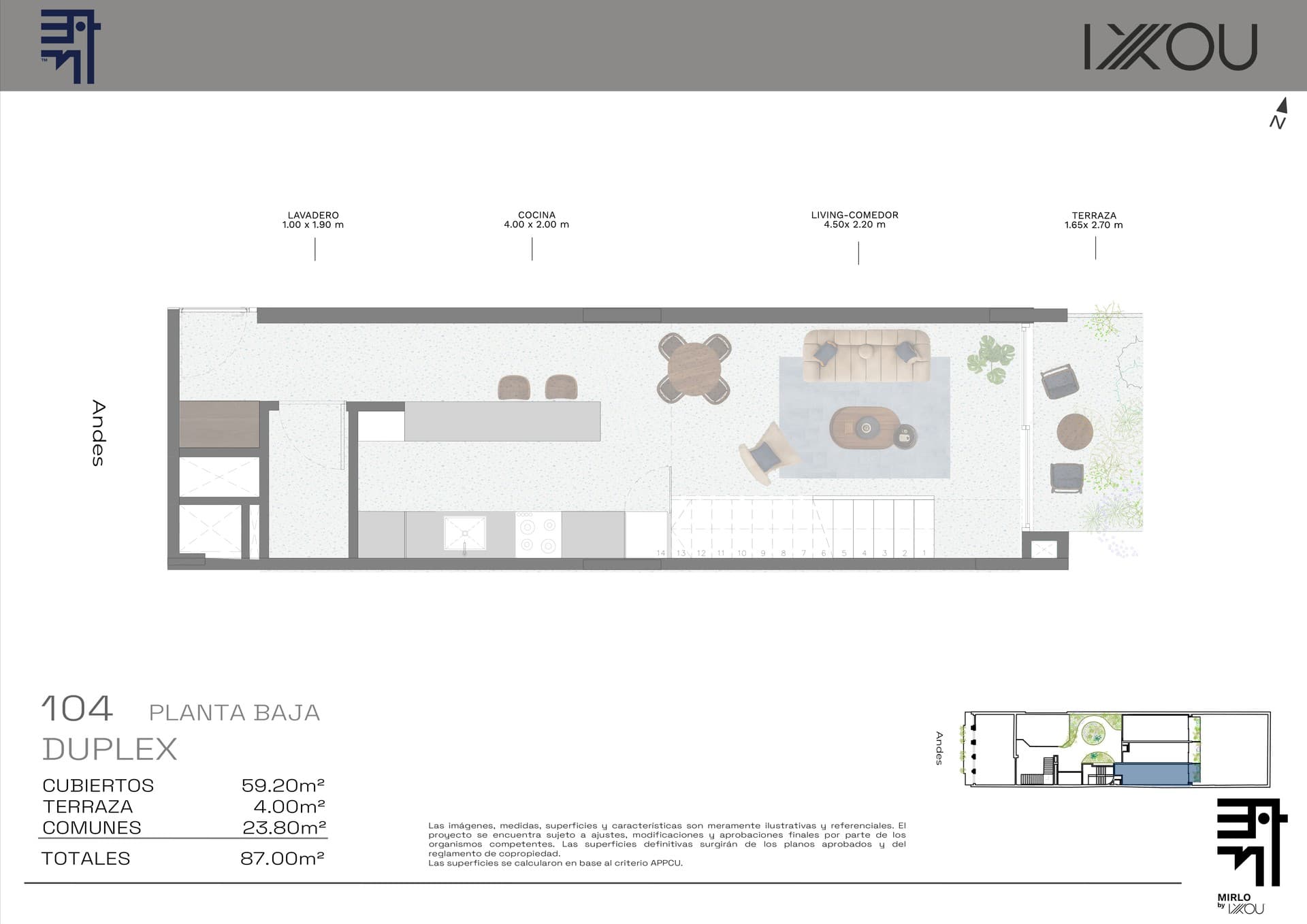 Mirlo - image 1