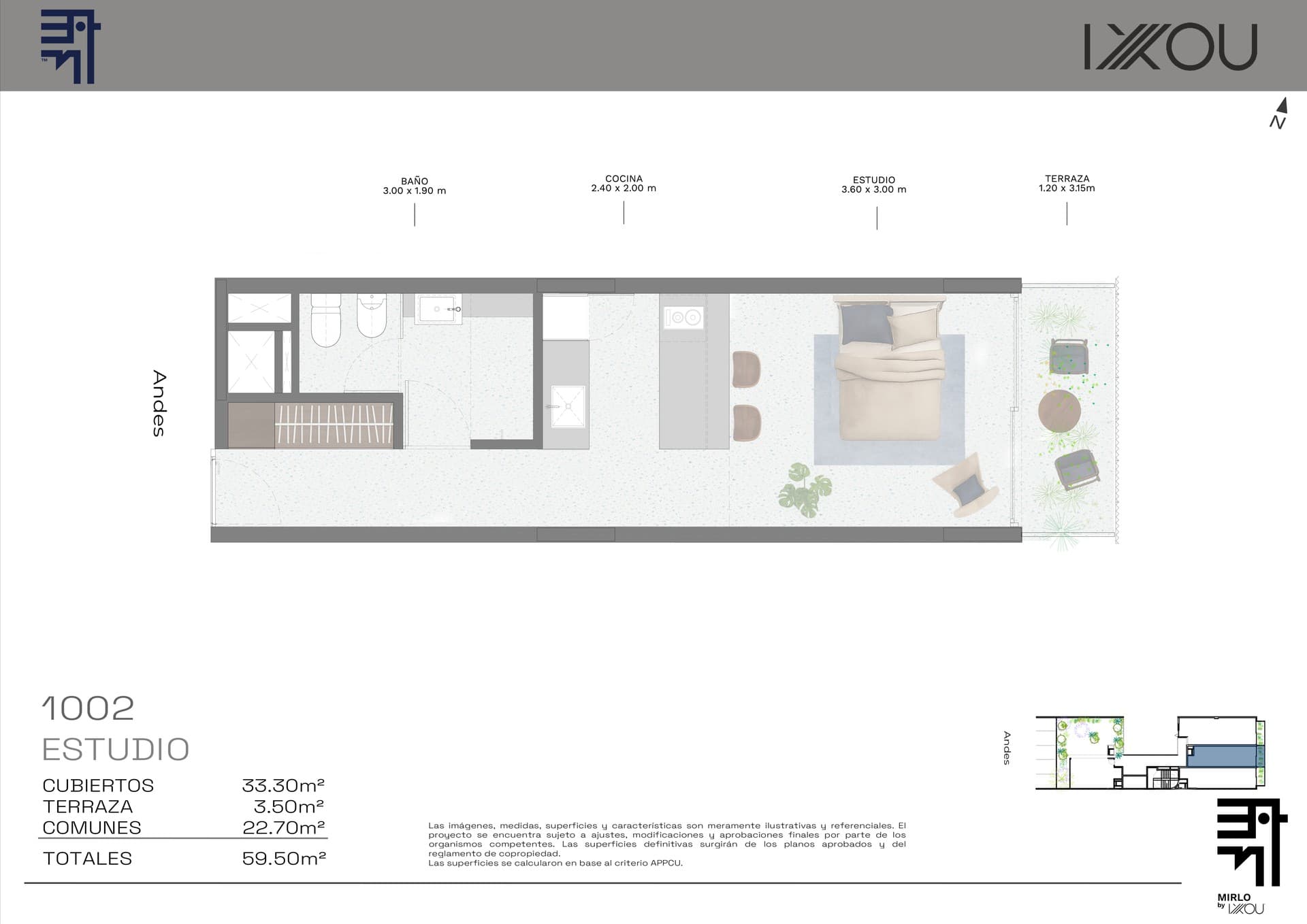 Mirlo - image 1