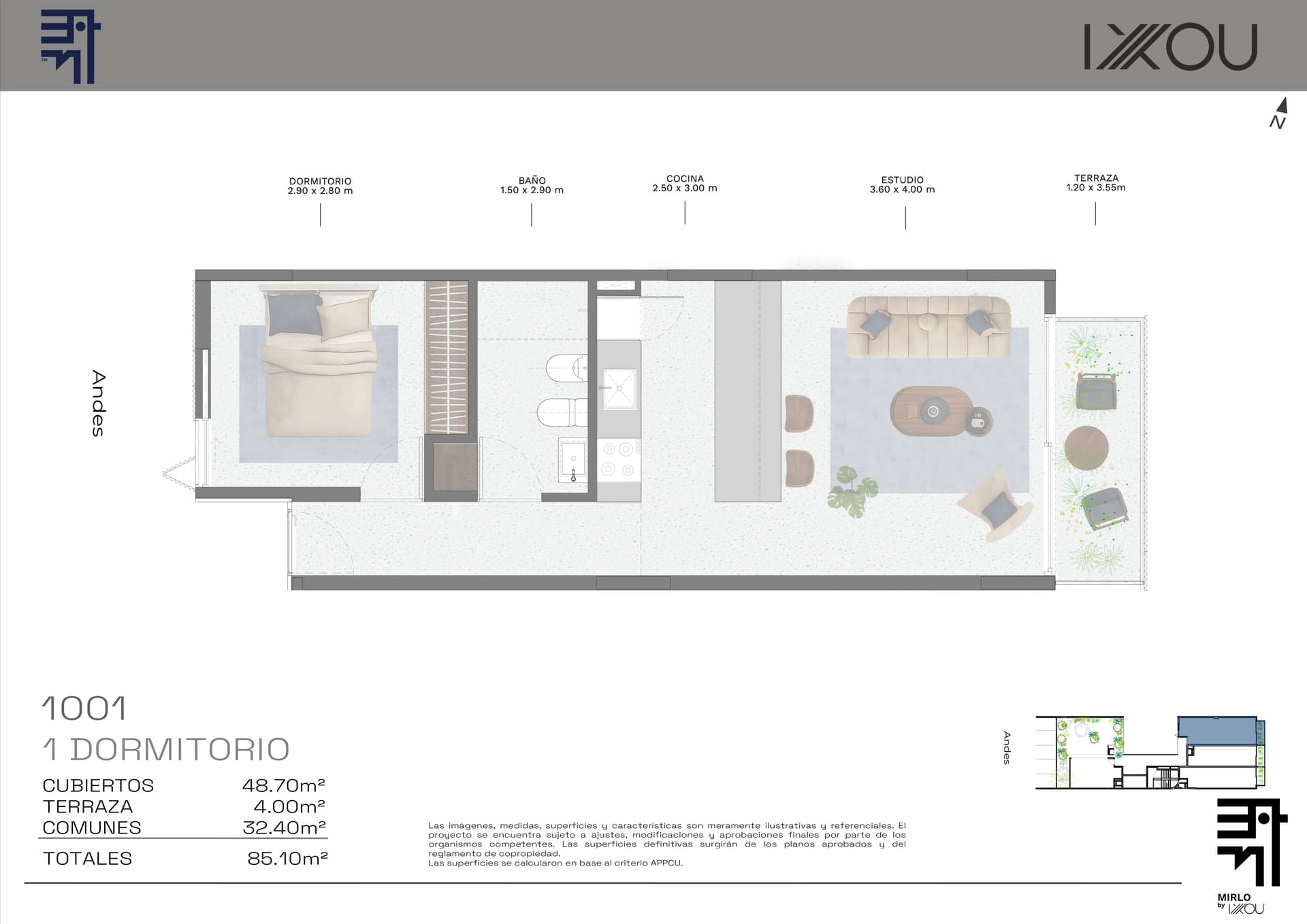 Mirlo - image 1